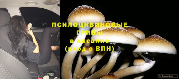 соль ск Алексин