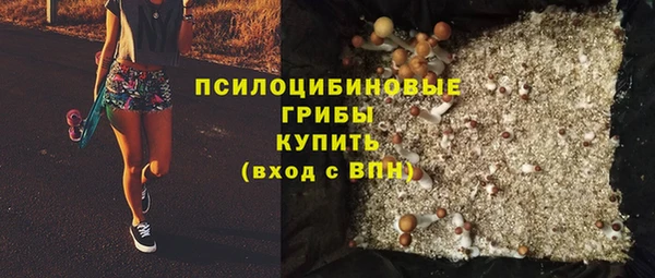PSILOCYBIN Алексеевка